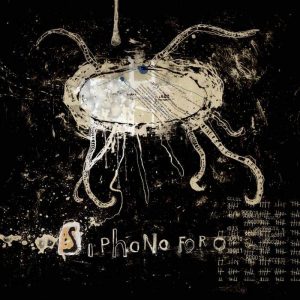 Siphonoforo_marco-pasinetti_ante