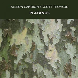 Scott-Thompson-Allison-Cameron-Platanus-